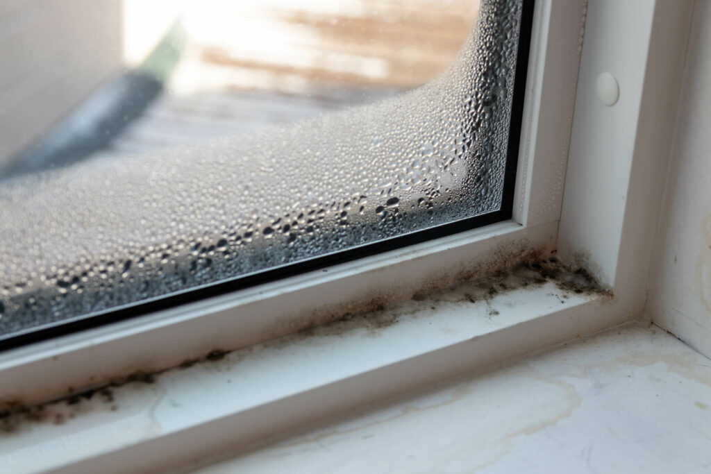 Window with condensation and mould.